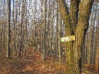 Bild 23 (192 Bildaufrufe)