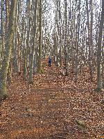 Bild 24 (184 Bildaufrufe)