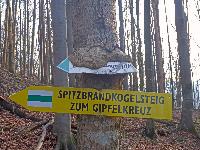 Bild 25 (218 Bildaufrufe)