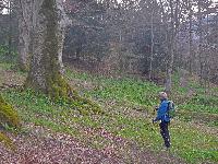 Bild 29 (191 Bildaufrufe)
