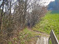 Bild 2 (277 Bildaufrufe)