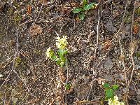 Bild 3 (265 Bildaufrufe)