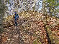 Bild 6 (252 Bildaufrufe)