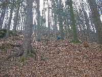 Bild 9 (206 Bildaufrufe)