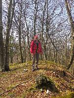 Bild 10 (235 Bildaufrufe)