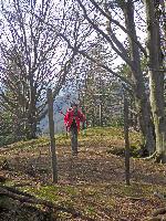 Bild 15 (216 Bildaufrufe)
