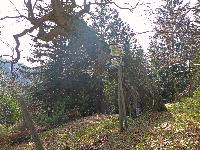 Bild 16 (208 Bildaufrufe)