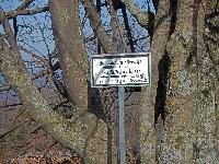 Bild 22 (211 Bildaufrufe)