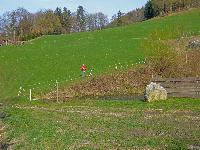 Bild 23 (192 Bildaufrufe)