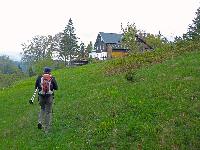 Ebenwald (173 Bildaufrufe)