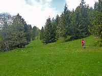 Ebenwald (225 Bildaufrufe)