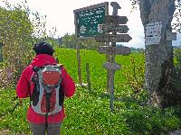Ebenwald (205 Bildaufrufe)