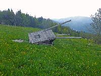 Ebenwald (141 Bildaufrufe)