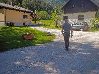 Bild 2 (315 Bildaufrufe)