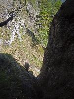 Bild 5 (293 Bildaufrufe)