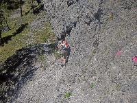 Bild 7 (288 Bildaufrufe)