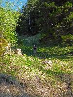 Bild 22 (204 Bildaufrufe)