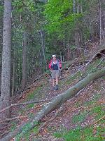 Bild 23 (233 Bildaufrufe)