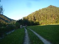 Bild 26 (237 Bildaufrufe)