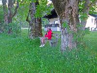 Bild 27 (249 Bildaufrufe)
