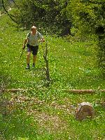 Wildalpe (175 Bildaufrufe)