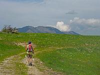 Bild 5 (204 Bildaufrufe)