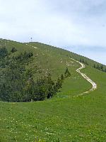 Wildalpe (261 Bildaufrufe)