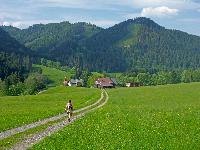 Wildalpe (220 Bildaufrufe)