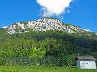 Spielmäuer (215 Bildaufrufe)