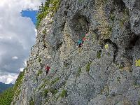 Spielmäuer (291 Bildaufrufe)