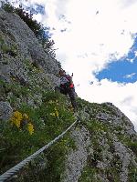 Spielmäuer (256 Bildaufrufe)