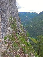 Spielmäuer (237 Bildaufrufe)