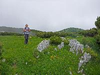 Bild 3 (179 Bildaufrufe)