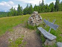 Bild 6 (169 Bildaufrufe)