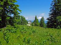 Bild 9 (148 Bildaufrufe)