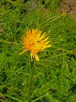 Bild 13 (179 Bildaufrufe)