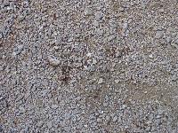 Bild 17 (155 Bildaufrufe)