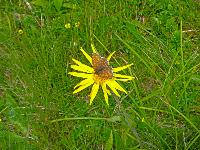 Bild 18 (131 Bildaufrufe)