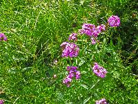 Bild 32 (143 Bildaufrufe)
