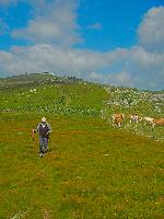 Bild 14 (212 Bildaufrufe)