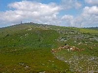Bild 16 (218 Bildaufrufe)
