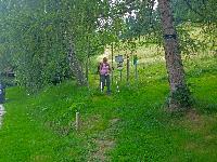 Bild 25 (186 Bildaufrufe)