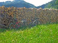 Bild 2 (153 Bildaufrufe)