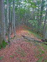 Pechberg (182 Bildaufrufe)