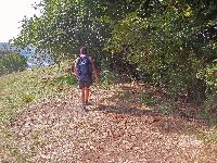 Bild 3 (216 Bildaufrufe)