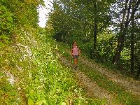 Bild 6 (176 Bildaufrufe)