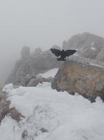 Hoher Dachstein (251 Bildaufrufe)