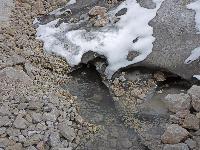 Hoher Dachstein (246 Bildaufrufe)