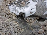 Hoher Dachstein (235 Bildaufrufe)