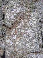 Bild 33 (234 Bildaufrufe)